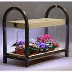 1 Tray Wheatgrass Growing Rack-Two 24″ Wide Spectrum Grow Lights-Brown