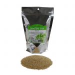 Certified Organic Quinoa Grain Sprouting Seeds -Sprouts, Cereal -1 Lb
