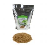 Organic Whole Oat Grain Seeds (Unhulled)- 2 Lb – Oats Seed Grains
