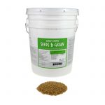Certified Organic Unhulled Barley Seeds – Barleygrass Seed – 35 Lb