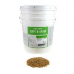 Organic Whole Oat Grain Seeds 30 Lb Re-Sealable Can Oats Seed Grain