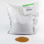 Amaranth, Red Garnet Microgreens Seeds – 5 Lbs Wholesale Micros Seed