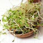 Alfalfa Organic Sprout Seeds -5 Lb- Non-GMO Sprouting Seed for Growing