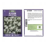 Alyssum Carpet of Snow Flower Seeds -1 Gram Packet- Annual – White