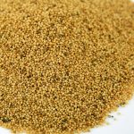 Organic Amaranth Sprouting Seeds – Amaranth Sprout Sprouts – 2.5 Lb