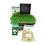 Organic Barleygrass Growing Kit w/Hurricane Manual Barley Grass Juicer