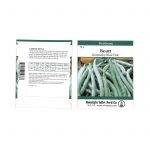 Kentucky Blue Pole Bean Seeds – 25 g – Non-GMO, Heirloom – Green Bean