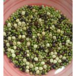 Pole Bean Garden Seeds – Oriental Yard Long – 1 Lb – Heirloom, Non-GMO