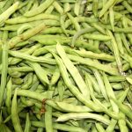 Kentucky Wonder Brown Pole Bean Seeds – 25 Lb- Non-GMO, Heirloom Seed