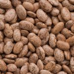 Pinto Bean Seeds – 1 Lb – Shell Pinto or Shelling Pinto – Heirloom