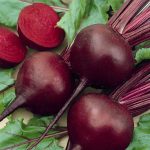 Detroit Dark Red Beet Seeds – 25 Lb Bulk – Non-GMO, Heirloom Vegetable