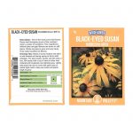 Black-Eyed Susan Flower Seeds -1 gram- Perennial – Rudbeckia hirta