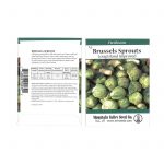 Long Island Improved Brussel Sprout Garden Seeds-3 g-Non-GMO Vegetable