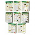 PermaChart – Live Foods Bundle – Reference Card / Chart by Mindsource