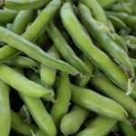 Roma II Bush Bean Seeds – 25 Lb – Roma 2 Bush – Vegetable Garden Seed