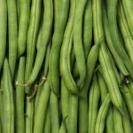 Slenderette Bush Bean Seeds – 50 Lb Bulk – Heirloom Green Snap Bean