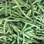 Stringless Green Pod Bush Bean Seeds (Burpee) -5 Lb- Non-GMO, Heirloom