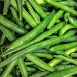 Tendergreen Bush Bean Seeds -1 Lb- Non-GMO, Heirloom Green Snap Bean