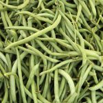 Topcrop Bush Bean Seeds -1 Lb- Non-GMO, Heirloom Green Snap Bean Seeds
