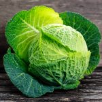 Cabbage Seeds -Savoy Perfection -4 Oz- Heirloom Gardening & Microgreen