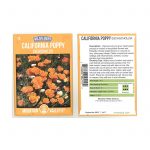 California Poppy Flower Seeds – 2 Gram Packet- Wildflower Garden Seeds