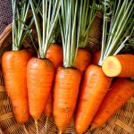 Chantenay Red Core Carrot Seeds -1 Oz- Heirloom Vegetable, Microgreens