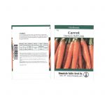 Danvers 126 Carrot Garden Seeds – 5 g – Non-GMO, Heirloom Vegetable