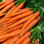 Imperator 58 Carrot Seeds -1 Oz- Pelleted & Treated – Heirloom Garden