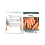 Little Finger Carrot Seeds -2 g Packet- Heirloom Gardening, Microgreen