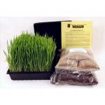 Dog & Cat Pet Organic Wheatgrass Growing Kit-Wheat Grass for Dogs Cats