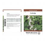 Catnip Herb Garden Seeds -2 g Packet- Heirloom Herbal Gardening Seeds
