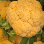 Cheddar Hybrid Cauliflower -100 Seeds- Non-GMO, Orange – Vegetable