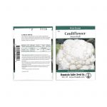 Snowbally Y Improved Cauliflower Seeds -3 g Packet- Heirloom Garden
