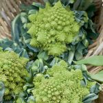 Veronica Romanesco Hybrid Cauliflower -1000 Seeds- Italian Garden Seed