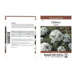 Garlic Chives Herb Garden Seeds – 2 g Packet – Heirloom – Perennial