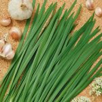 Garlic Chives Herb Garden Seeds – 1 Oz – Non-GMO, Organic Perennial