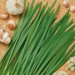 Garlic Chives Herb Garden Seeds – 1 Lb – Non-GMO, Perennial Herbal