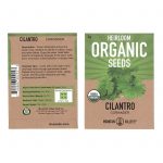 Slow Bolt Cilantro Herb Garden Seeds -3 g -Heirloom, Organic-Coriander