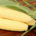 Bodacious R/M Hybrid Corn Garden Seeds – 1 Lb – Non-GMO, SE