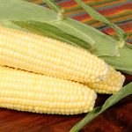 Bodacious R/M Hybrid Corn Garden Seeds (Treated)- 25 Lb Bulk- Non-GMO