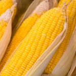 Early Sunglow Hybrid Corn Garden Seeds – 5 Lb – Non-GMO, Vegetable