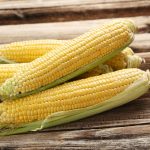 Spring Treat Hybrid Corn (Treated) -100,000 Seeds -Non-GMO, Sweet Corn