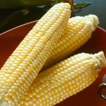 Sugar Buns Hybrid Corn Garden Seed – 5 Lb – Non-GMO, Vegetable Seeds