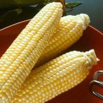 Sugar Buns Hybrid Corn Garden Seed (Treated) – 25 Lb – Vegetable Corn