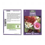 Sensation Mix Cosmos Flower Seeds – 2 g – Rose, Crimson, White & Pink