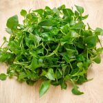 Curled Cress Seeds – 4 Oz – Organic, Heirloom, Baby Salad Greens