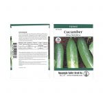 Diva Hybrid Cucumber Garden Seeds – 12 Seed Packet – Non-GMO