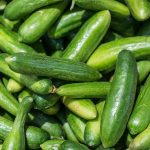 Fanfare Hybrid Cucumber Garden Seeds – 100 Seeds – Non-GMO Gardening