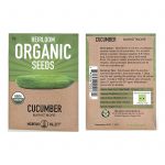 Marketmore 76 Cucumber Garden Seeds – 4 g- Non-GMO, Organic, Heirloom