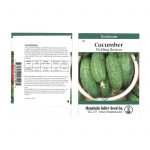 Cucumber Seeds – Boston Pickling Cucumbers – 4 g – Heirloom Vegetable